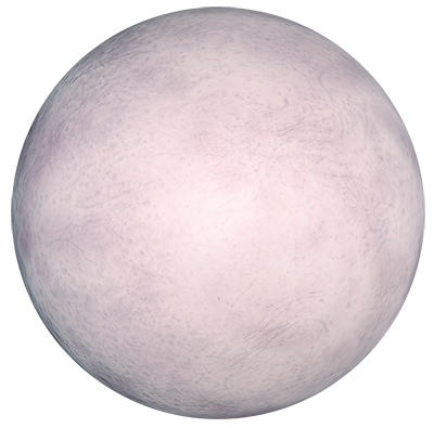 Tirna VI-d